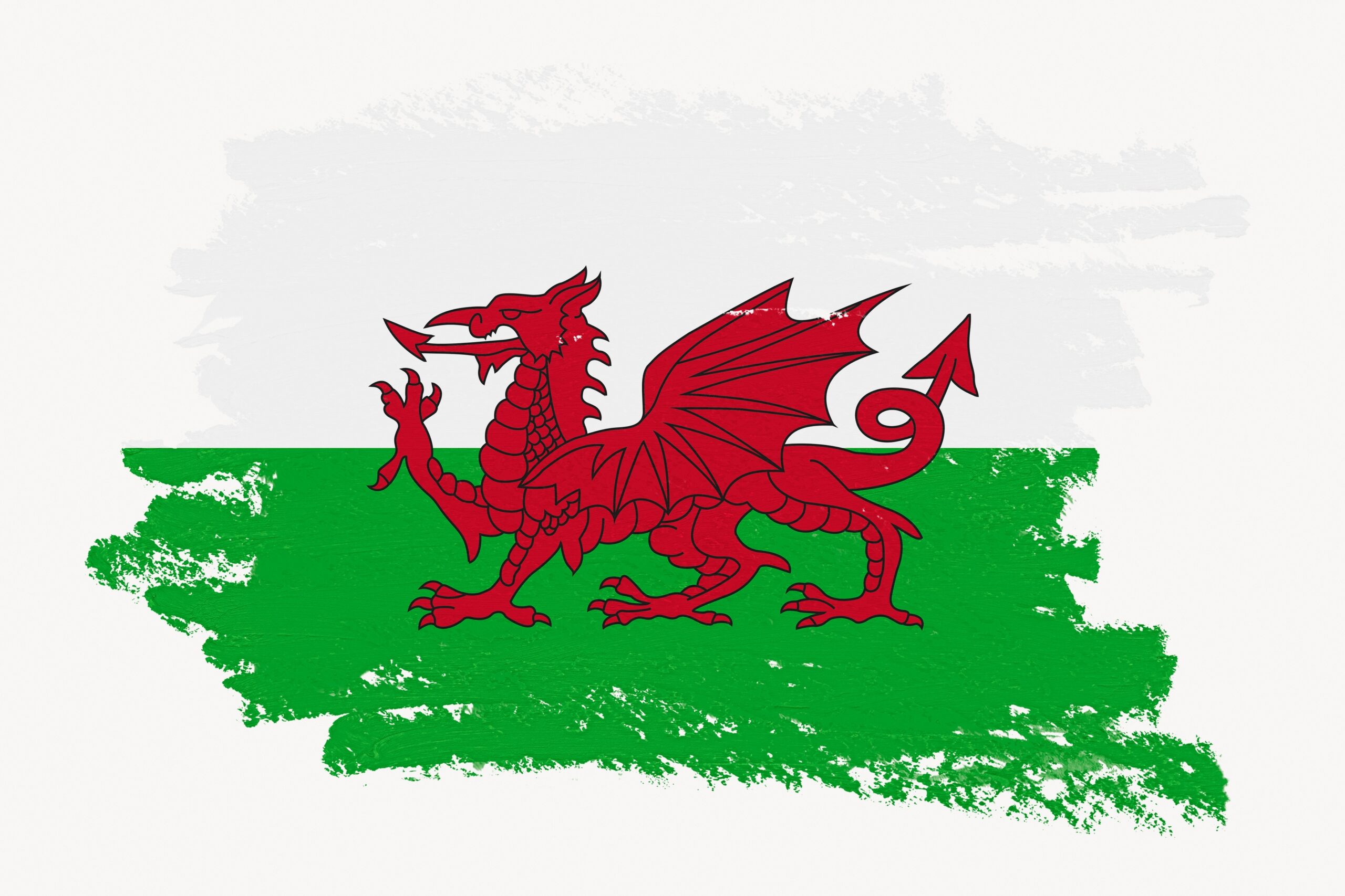 From GOWA to Greyhounds: Discussing the constitutional law of Wales