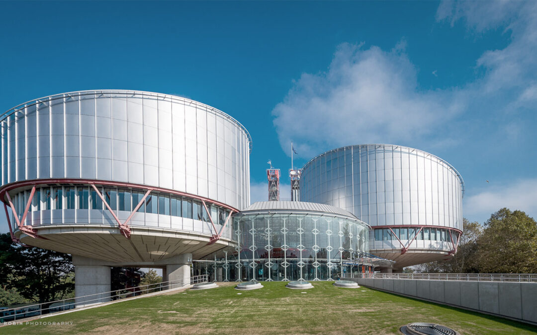 Developments in human rights law and litigation